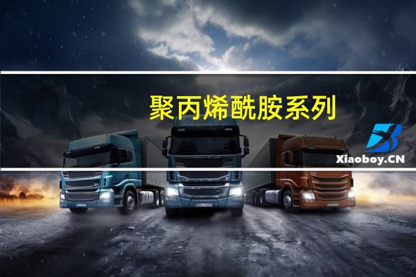 聚丙烯酰胺系列(关于聚丙烯酰胺系列简述)