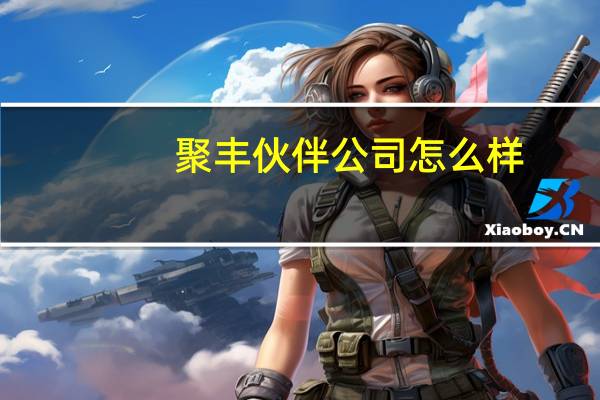 聚丰伙伴公司怎么样
