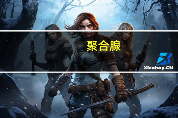 聚合腺(关于聚合腺简述)