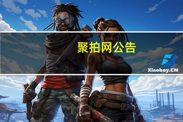 聚拍网公告（聚竞拍简介）