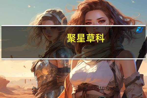 聚星草科(关于聚星草科简述)