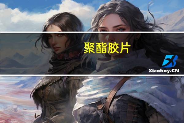 聚酯胶片(关于聚酯胶片简述)
