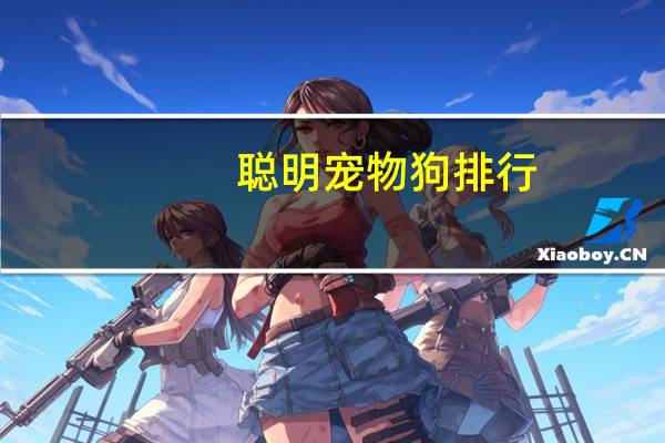 聪明宠物狗排行