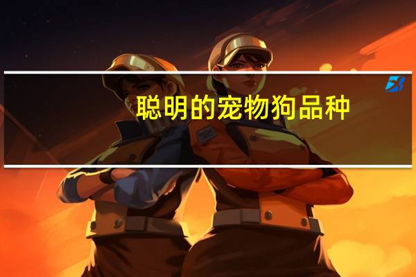 聪明的宠物狗品种