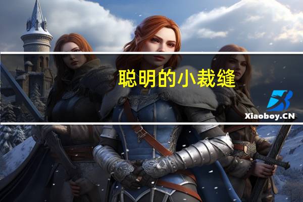 聪明的小裁缝(关于聪明的小裁缝简述)
