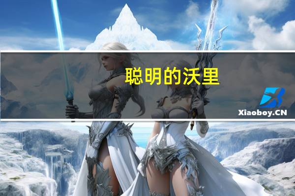 聪明的沃里(关于聪明的沃里简述)