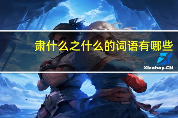 肃什么之什么的词语有哪些?