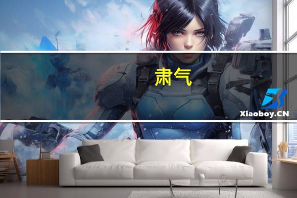 肃气(关于肃气简述)