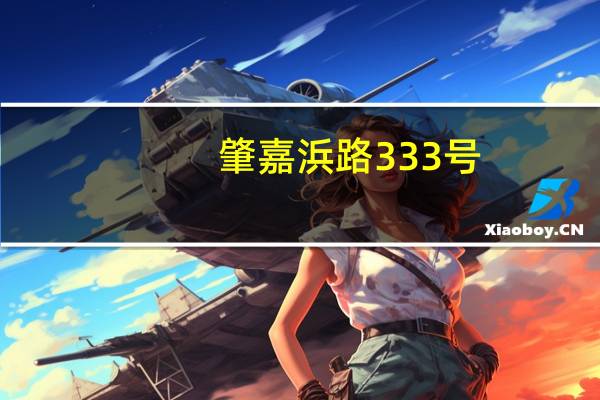 肇嘉浜路333号(关于肇嘉浜路333号简述)
