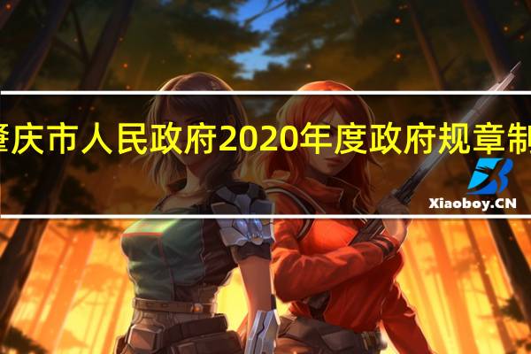 肇庆市人民政府2020年度政府规章制定计划(关于肇庆市人民政府2020年度政府规章制定计划简述)