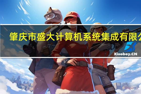 肇庆市盛大计算机系统集成有限公司(关于肇庆市盛大计算机系统集成有限公司简述)