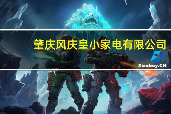 肇庆风庆皇小家电有限公司(关于肇庆风庆皇小家电有限公司简述)