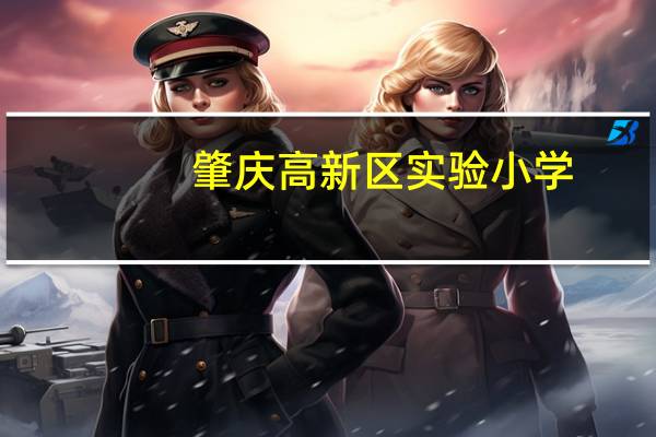 肇庆高新区实验小学(关于肇庆高新区实验小学简述)