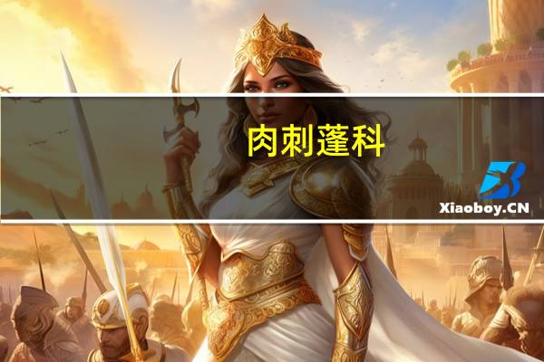 肉刺蓬科(关于肉刺蓬科简述)