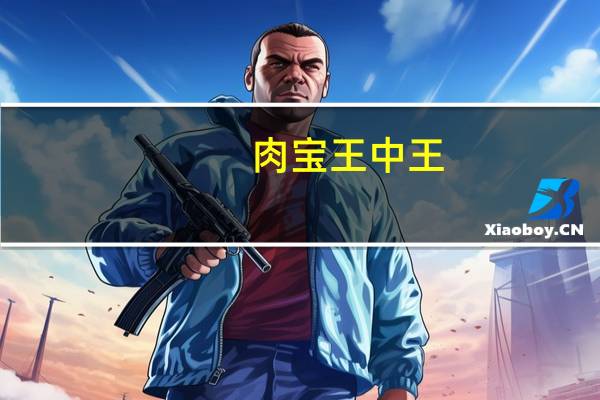 肉宝王中王(关于肉宝王中王简述)