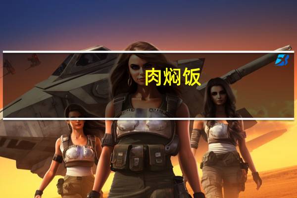 肉焖饭(关于肉焖饭简述)