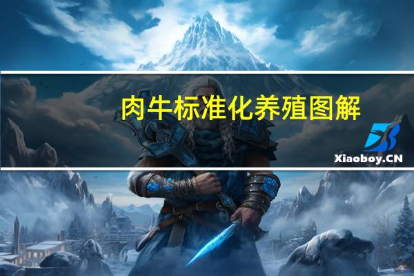 肉牛标准化养殖图解(关于肉牛标准化养殖图解简述)