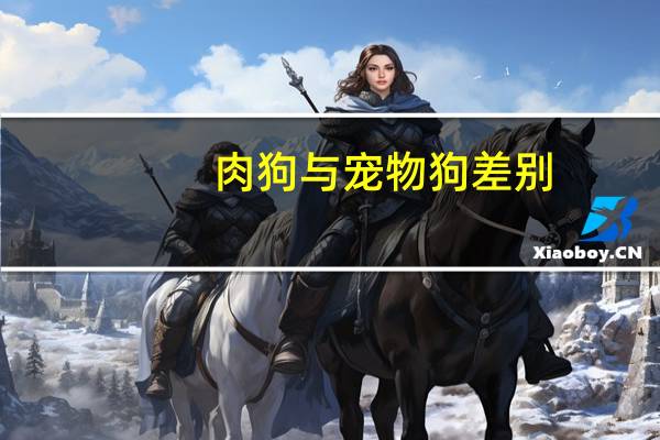 肉狗与宠物狗差别