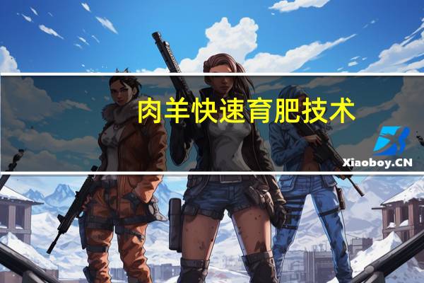 肉羊快速育肥技术(关于肉羊快速育肥技术简述)