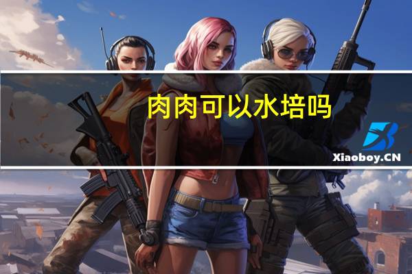 肉肉可以水培吗