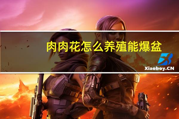 肉肉花怎么养殖能爆盆