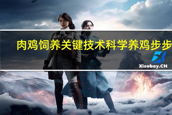 肉鸡饲养关键技术 科学养鸡步步赢(关于肉鸡饲养关键技术 科学养鸡步步赢简述)