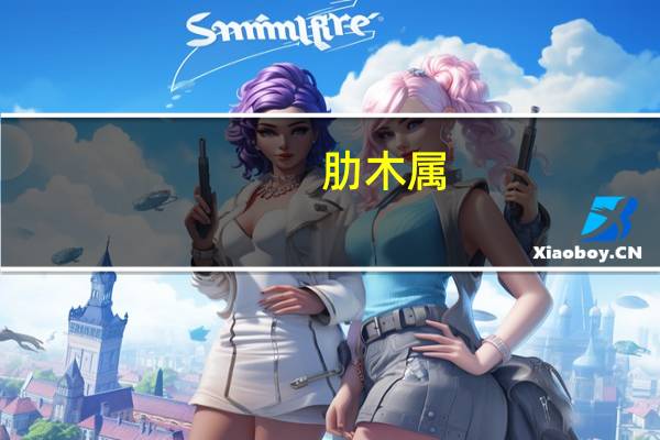 肋木属(关于肋木属简述)