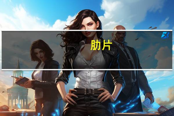 肋片(关于肋片简述)