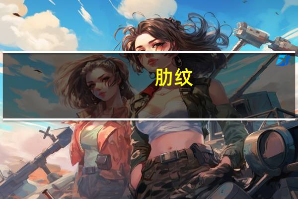 肋纹(关于肋纹简述)