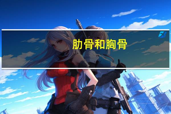 肋骨和胸骨(关于肋骨和胸骨简述)