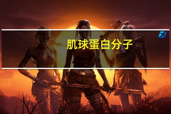 肌球蛋白分子(关于肌球蛋白分子简述)