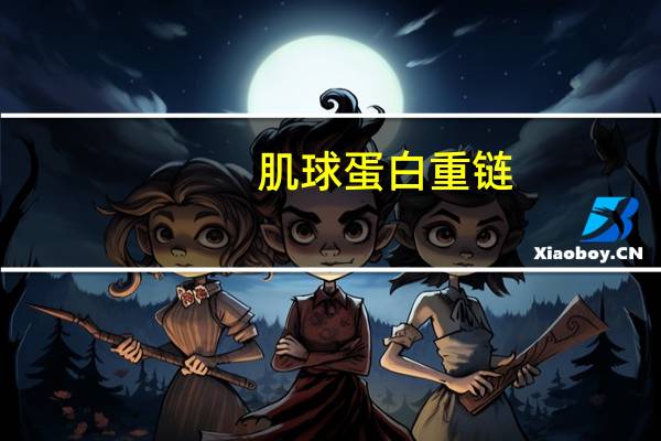 肌球蛋白重链(关于肌球蛋白重链简述)