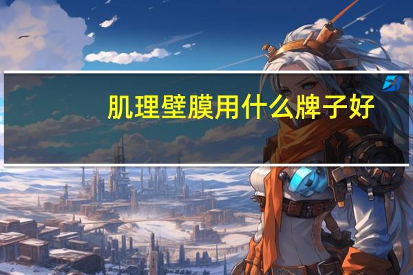 肌理壁膜用什么牌子好