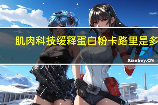 肌肉科技 缓释蛋白粉卡路里是多少