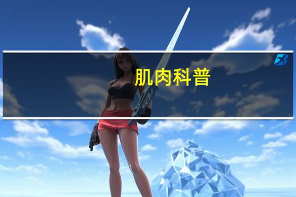 肌肉科普