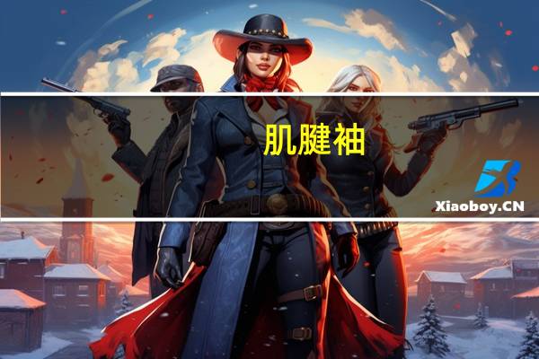 肌腱袖(关于肌腱袖简述)