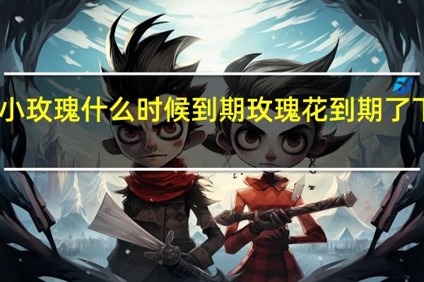肖战小玫瑰什么时候到期 玫瑰花到期了下句是什么