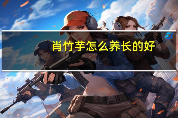 肖竹芋怎么养长的好
