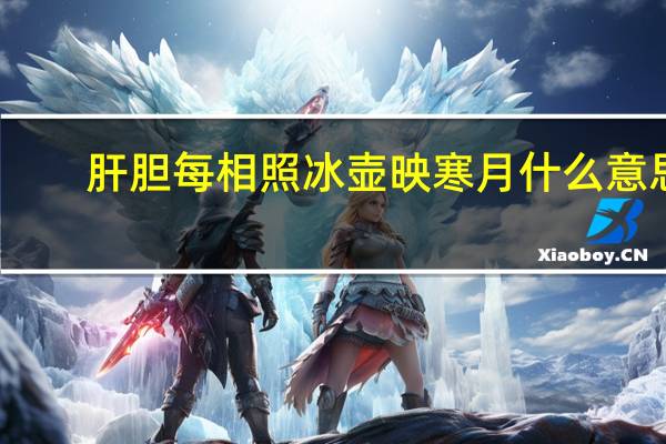 肝胆每相照冰壶映寒月什么意思