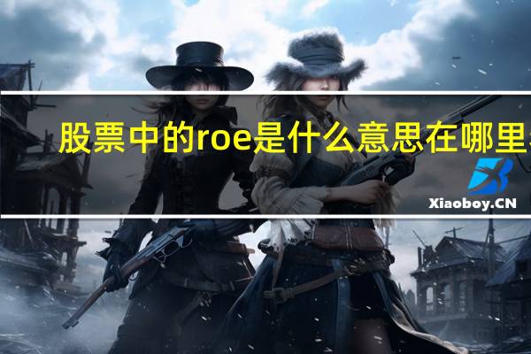 股票中的roe是什么意思在哪里看（股票中的ROE是什么意思）