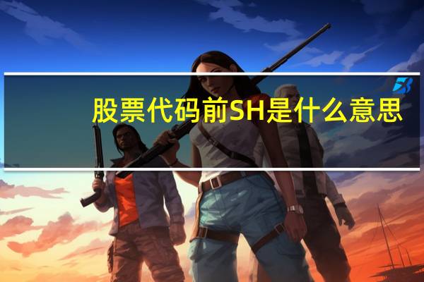 股票代码前SH是什么意思