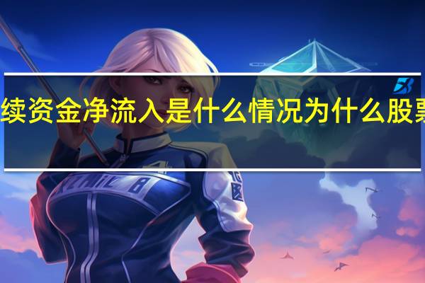 股票持续资金净流入是什么情况 为什么股票的价格不变？