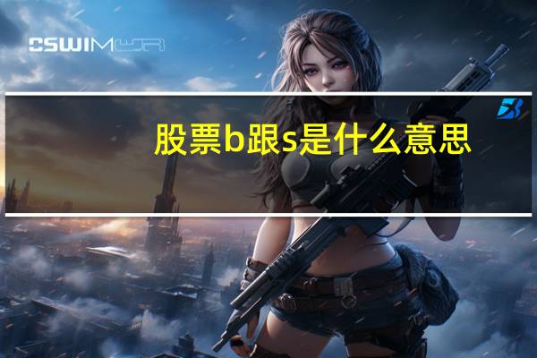 股票b跟s是什么意思(股票中的b和s是什么意思)