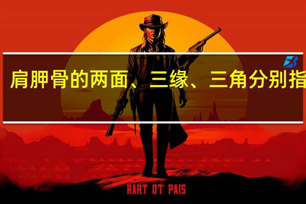 肩胛骨的两面、三缘、三角分别指什么