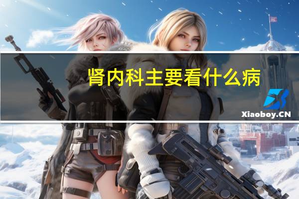 肾内科主要看什么病