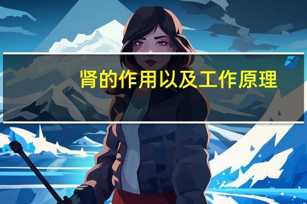 肾的作用以及工作原理