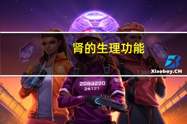 肾的生理功能