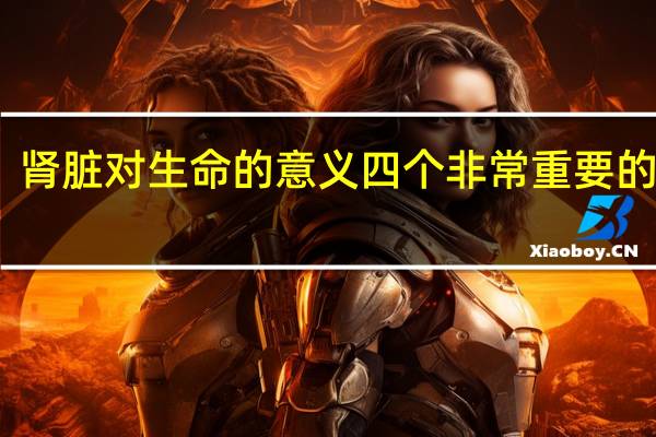 肾脏对生命的意义 四个非常重要的意义