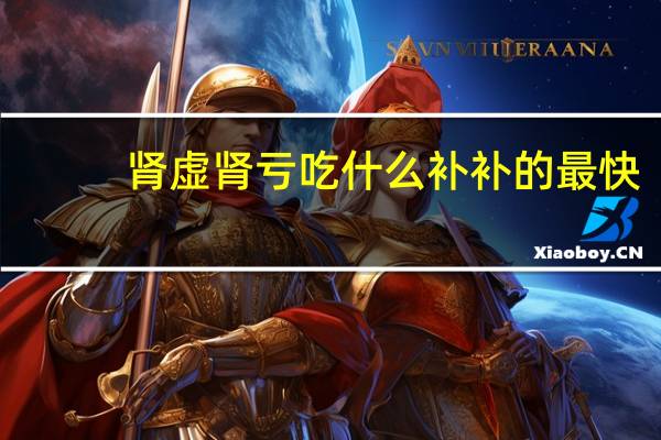 肾虚肾亏吃什么补补的最快(肾虚肾亏吃什么补)