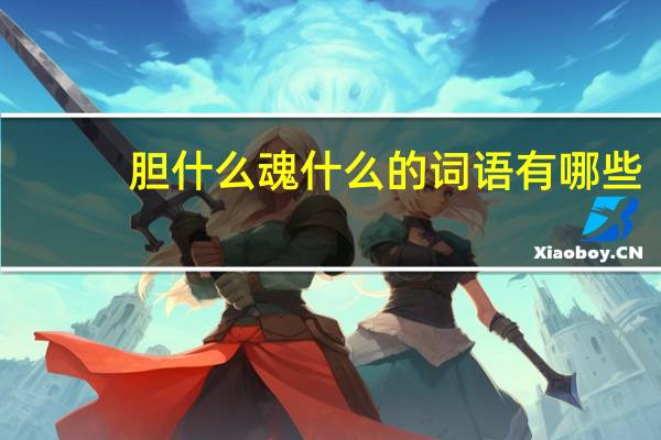 胆什么魂什么的词语有哪些?